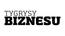 https://tygrysybiznesu.com.pl/